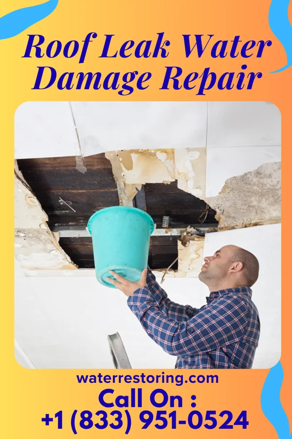 Roof Leak Water Damage Repair in Greeley, KS